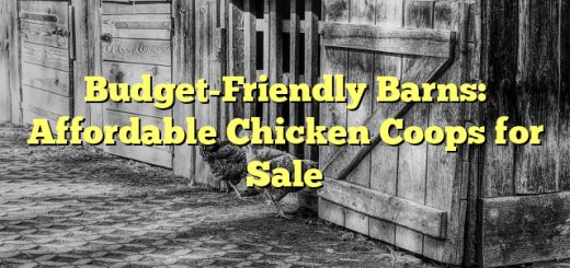 Budget-Friendly Barns: Affordable Chicken Coops for Sale 